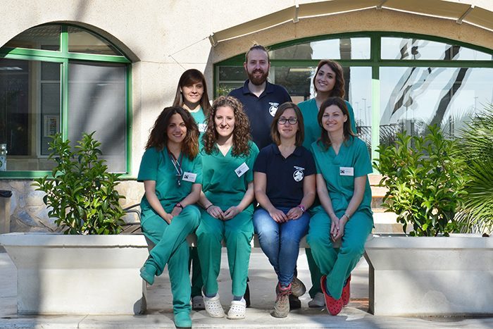 Veterinarios internos 2016 hospital veterinario san Vicente. Programas de formación
