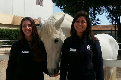 Veterinarios internos caballos 2017
